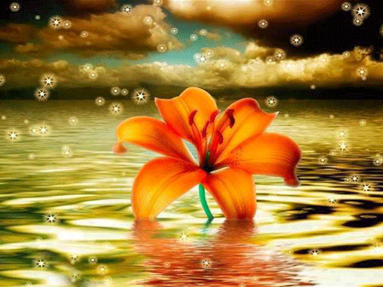 Rahman Duası Okunuşu ve Anlamı