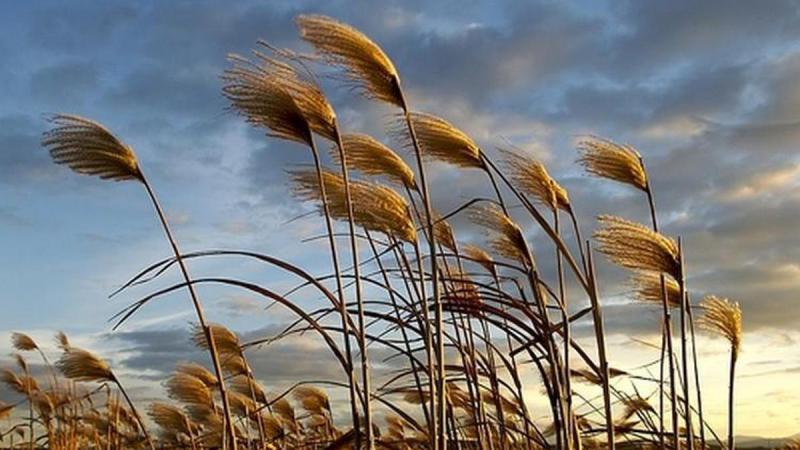 Rüzgar Eserken Okunacak Dualar